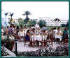 Mirage Park Resort 